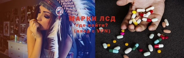 сатива Новодвинск