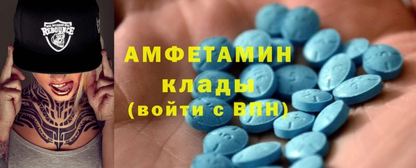 шишки Новозыбков