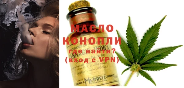 сатива Новодвинск