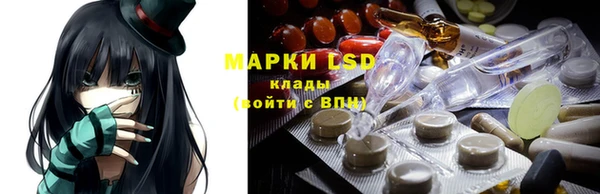 шишки Новозыбков