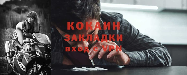 сатива Новодвинск