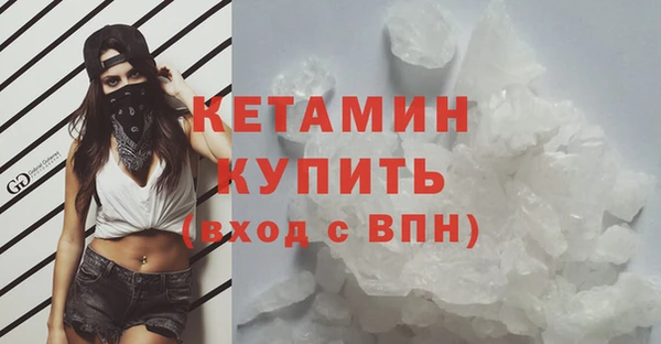 шишки Новозыбков
