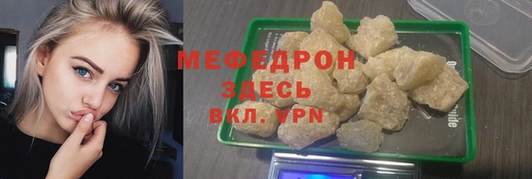сатива Новодвинск