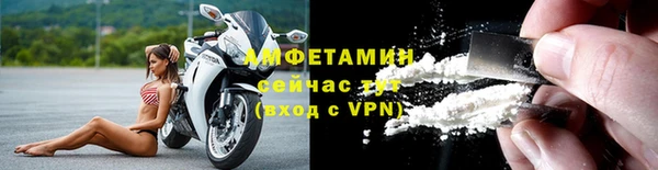 шишки Новозыбков