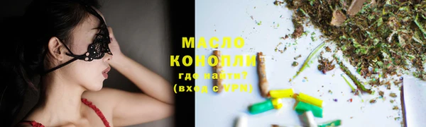 сатива Новодвинск