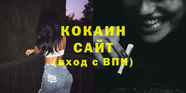 сатива Новодвинск