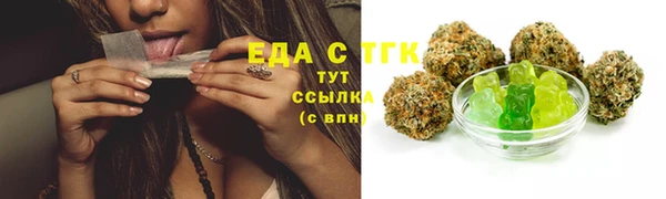 стаф Новокубанск