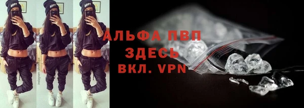сатива Новодвинск