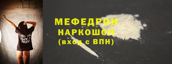 сатива Новодвинск