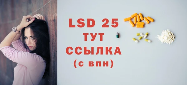 шишки Новозыбков