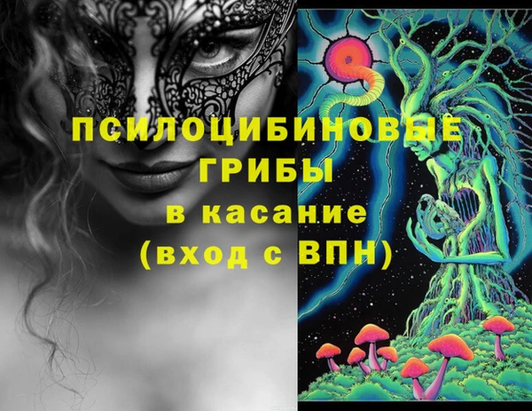 стаф Новокубанск