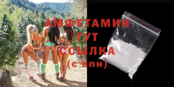 шишки Новозыбков