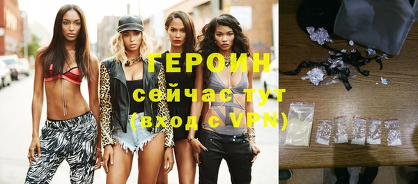 сатива Новодвинск