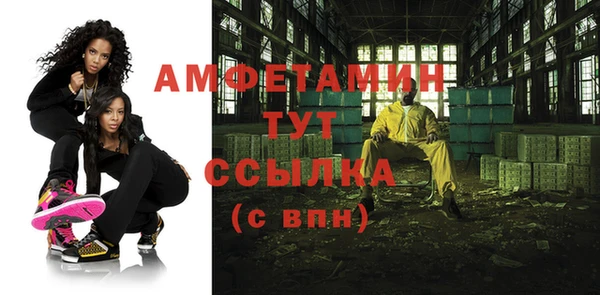 сатива Новодвинск