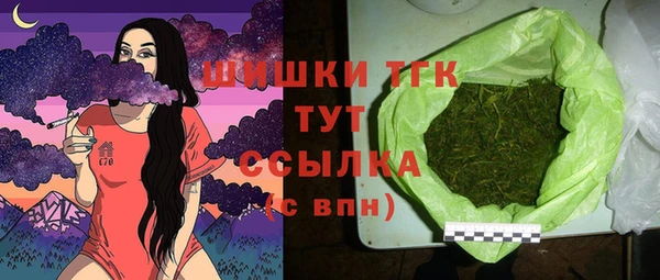 сатива Новодвинск
