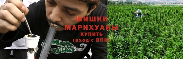 дживик Нефтекумск
