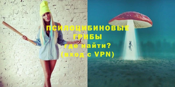 шишки Новозыбков