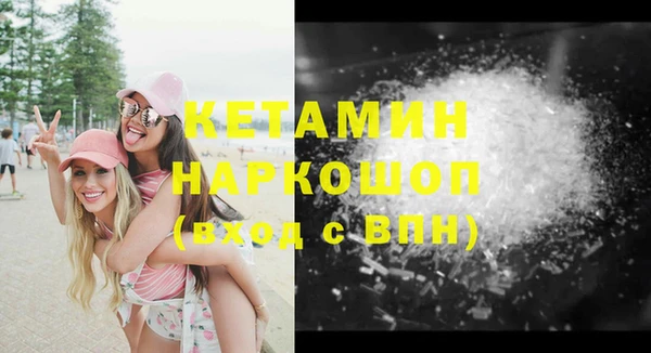 шишки Новозыбков