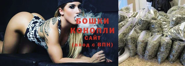 стаф Новокубанск