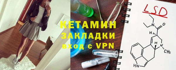 шишки Новозыбков