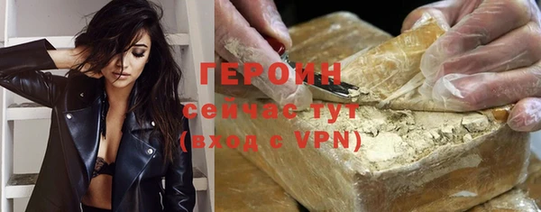 сатива Новодвинск